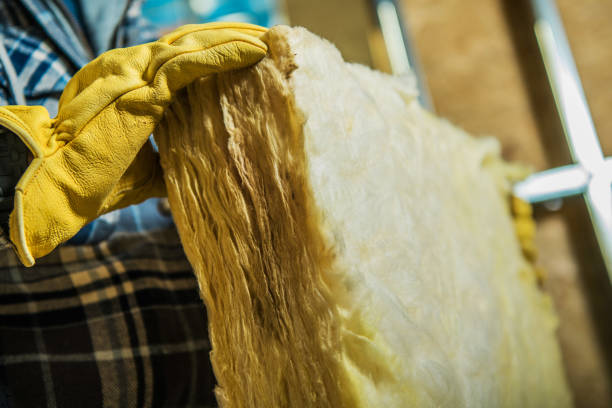 Best Blown-in Insulation  in Kenova, WV